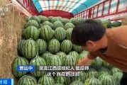 西藏扎西枫丹娱乐吃瓜,吃瓜群众眼中的神秘娱乐王国